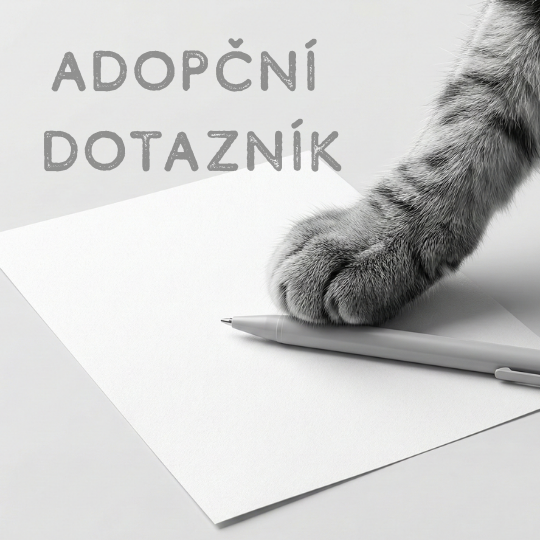 Adopční dotazník