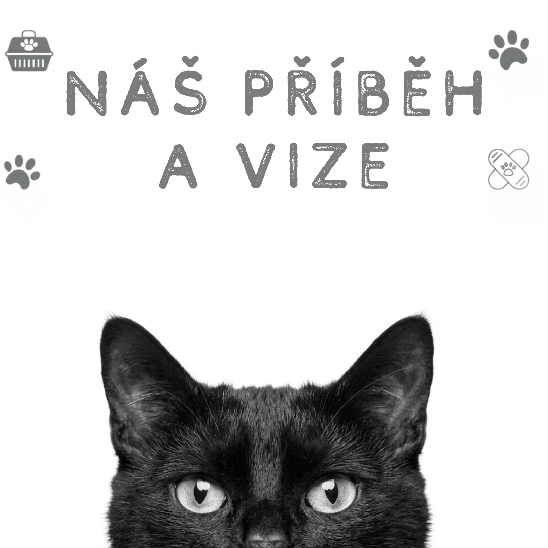 Náš příběh a vize