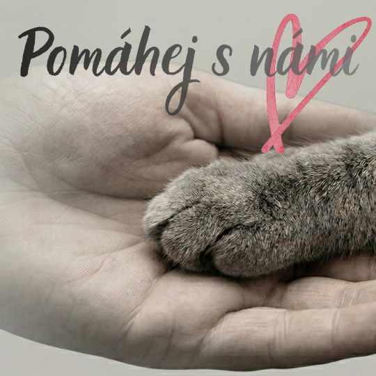 Pomáhej s námi