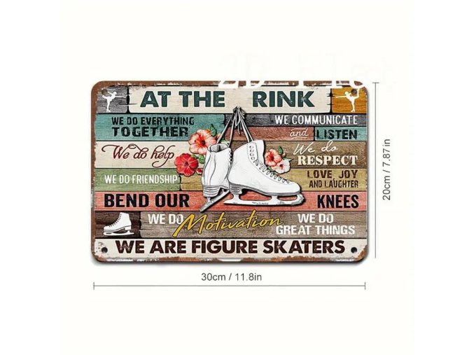 Plechová cedule At the ring we are figure skaters