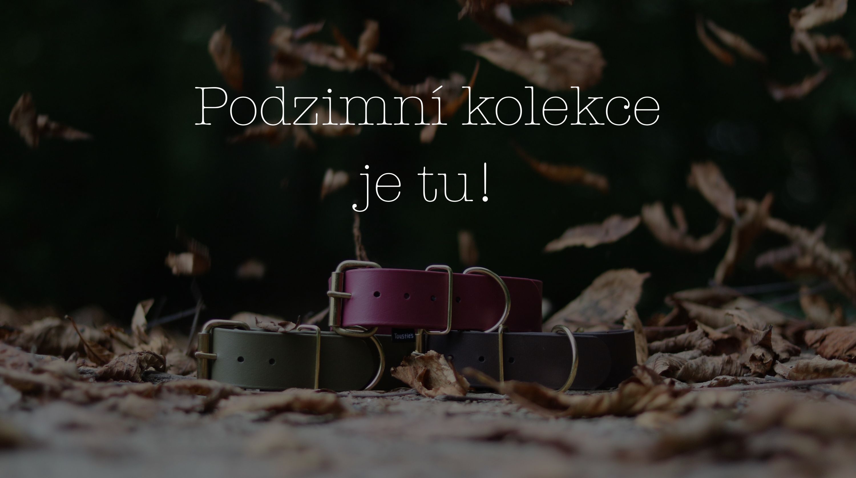 podzimní novinky