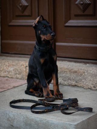 Artemis si k nám přišla pro svoje první přepínací vodítko. Vyráběli jsme kousek ze sekce Navrhni si sám, kde byla jasná...