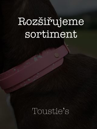 Zbožňujeme sledovat, jak se Toustie’s rozrůstá. Pořád jsme to my dva, kdo každý kousek vyrábí s maximální péčí, ale díky...