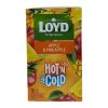 Loyd čaj Hot & Cold Jablko a ananás 15 x 2 g