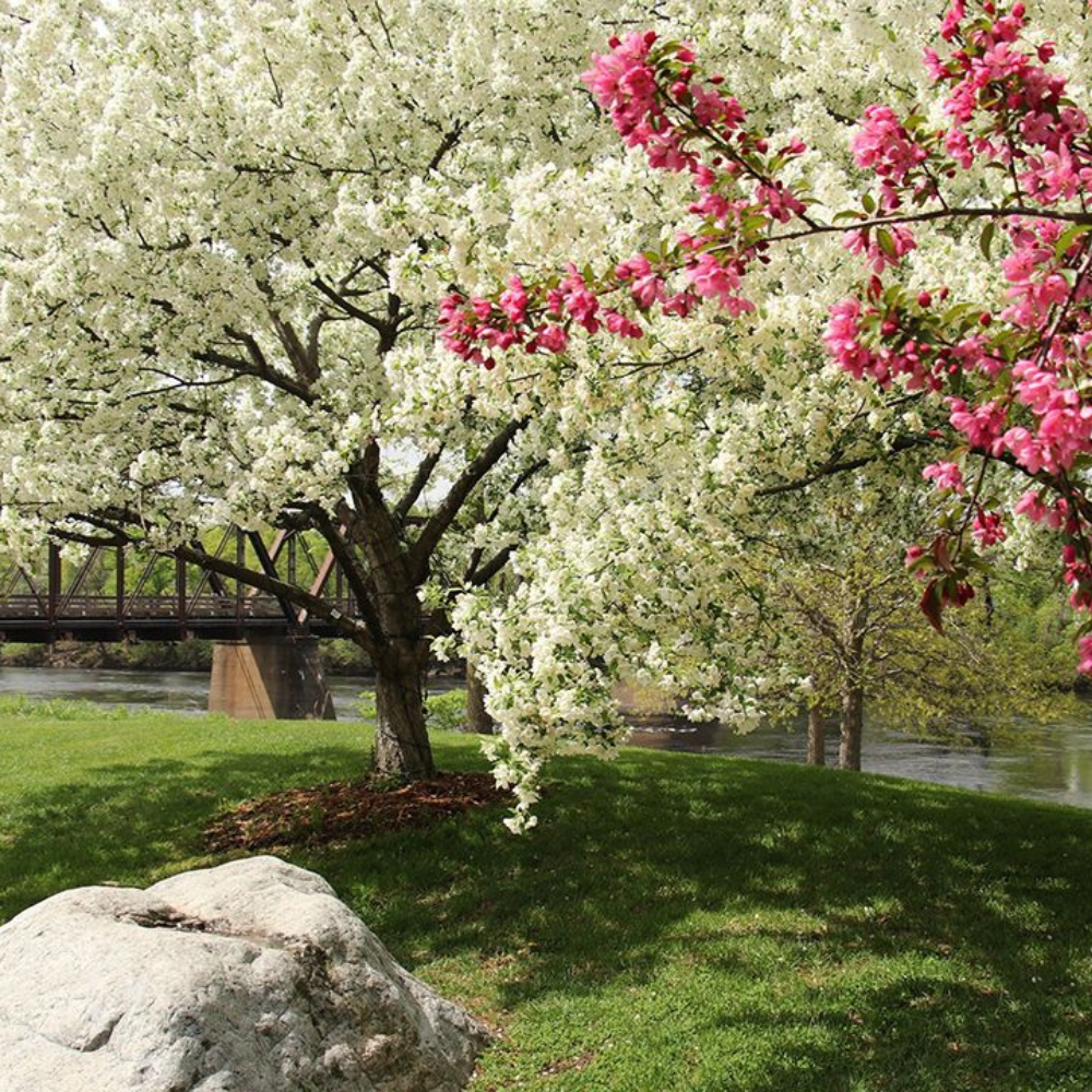 JARNÉ HNOJENIE PRE ZDRAVÝ RAST A ÚRODU