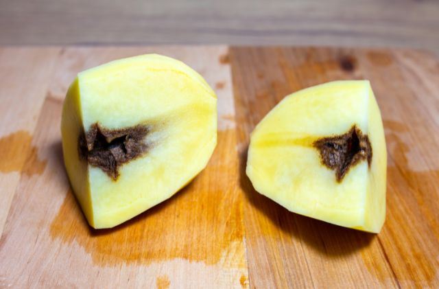 OCHRANA ZEMIAKOV PROTI PLESNI A ŠKODCOM