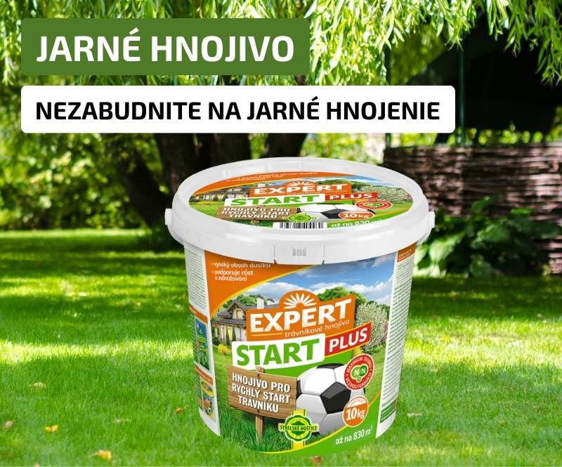 Expert Start MOBIL