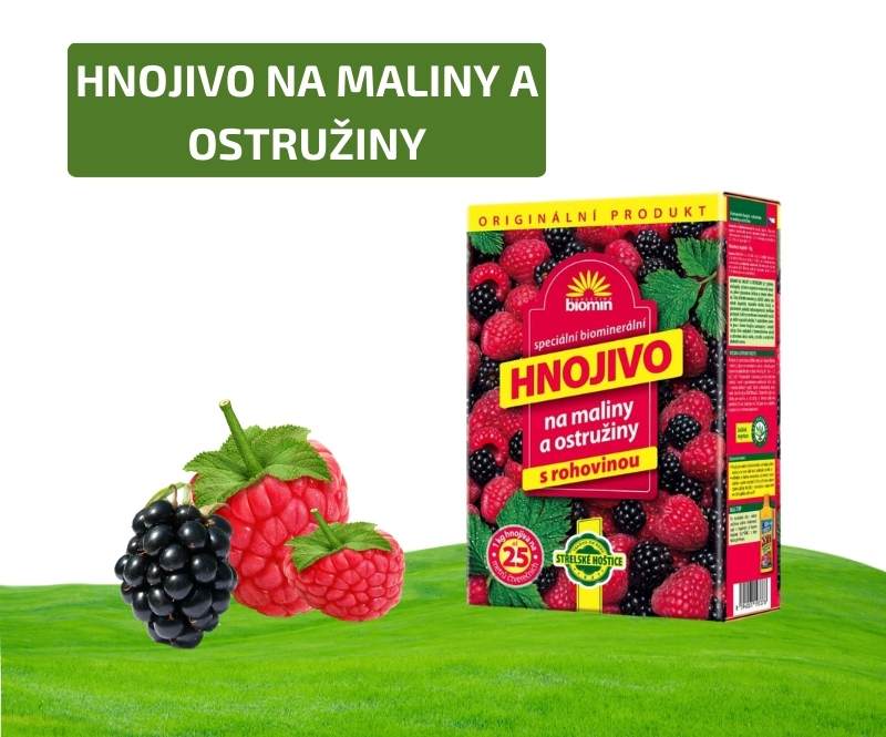Maliny a ostružiny MOBIL