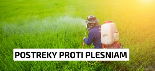 Postreky proti plesniam
