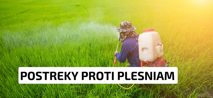 2. Postreky proti plesniam