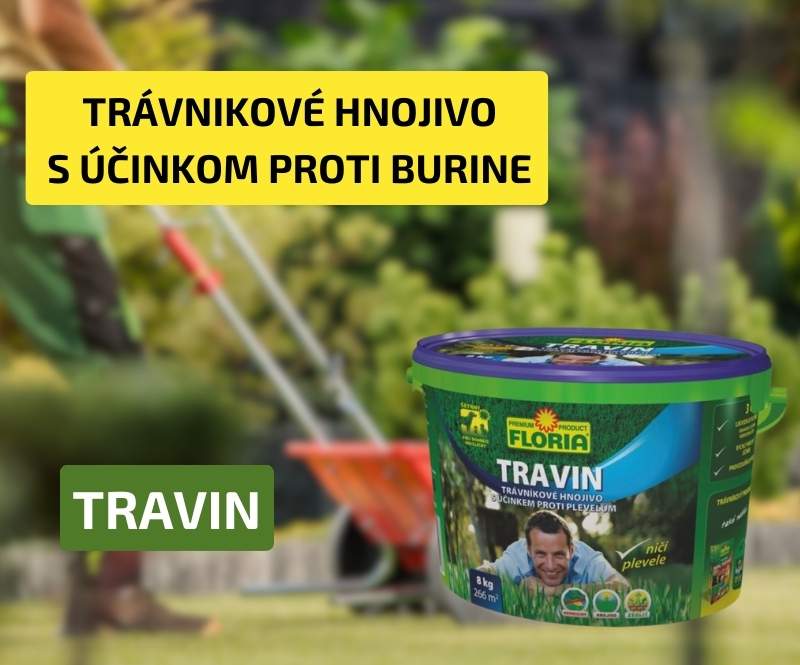 Travin MOBIL