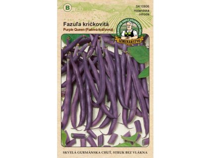 Fazuľa záhradná kríčkovitá - PURPLE QUEEN