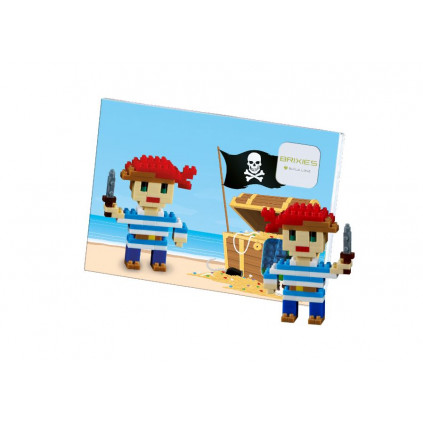 BR220029 pohlednice pirat