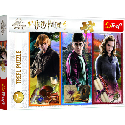 Puzzle Harry Potter Ve světě magie a čarodějnictví 200 dílků