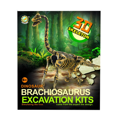Archeologický set 3D Brachiosaurus