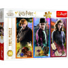 Puzzle Harry Potter Ve světě magie a čarodějnictví 200 dílků