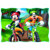 Puzzle 4v1 Mickey a Minnie