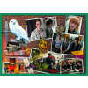 Puzzle 10v1 Harry Potter - Ve světě Harryho Pottera