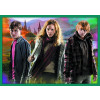 Puzzle 10v1 Harry Potter - Ve světě Harryho Pottera
