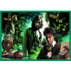 Puzzle 10v1 Harry Potter - Ve světě Harryho Pottera
