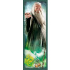 Puzzle Harry Potter Dumbledore 300 dílků