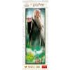 Puzzle Harry Potter Dumbledore 300 dílků