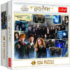 Puzzle Harry Potter Dumbledorova armáda 934 dílků