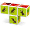 GEOMAG Magicube Big set Poznavej magneticka stavebnice 25 kostek