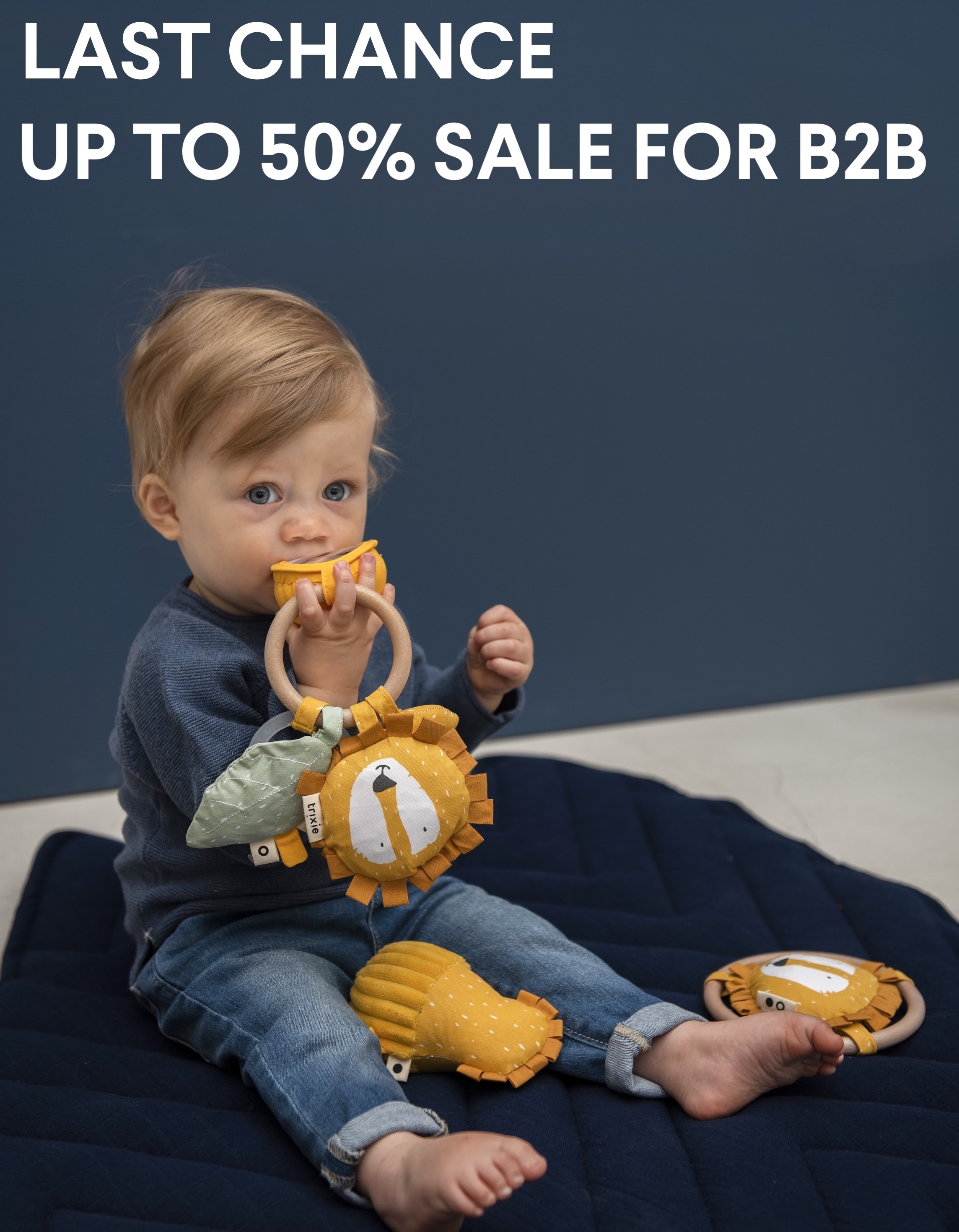 POSLEDNÍ ŠANCE K NÁKUPU