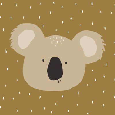 Pán koala