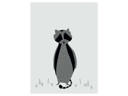 1131060 1 plakat mr raccoon