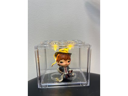 Akrylový showcase s osvětlením