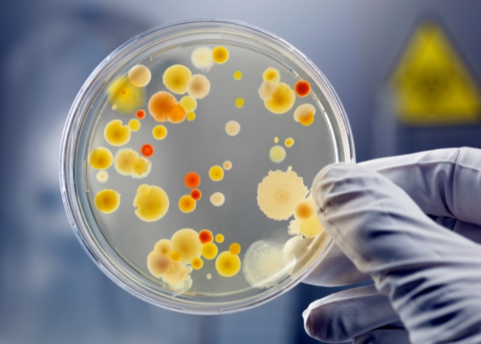 Probiotika a antibiotika – proč je kombinovat?