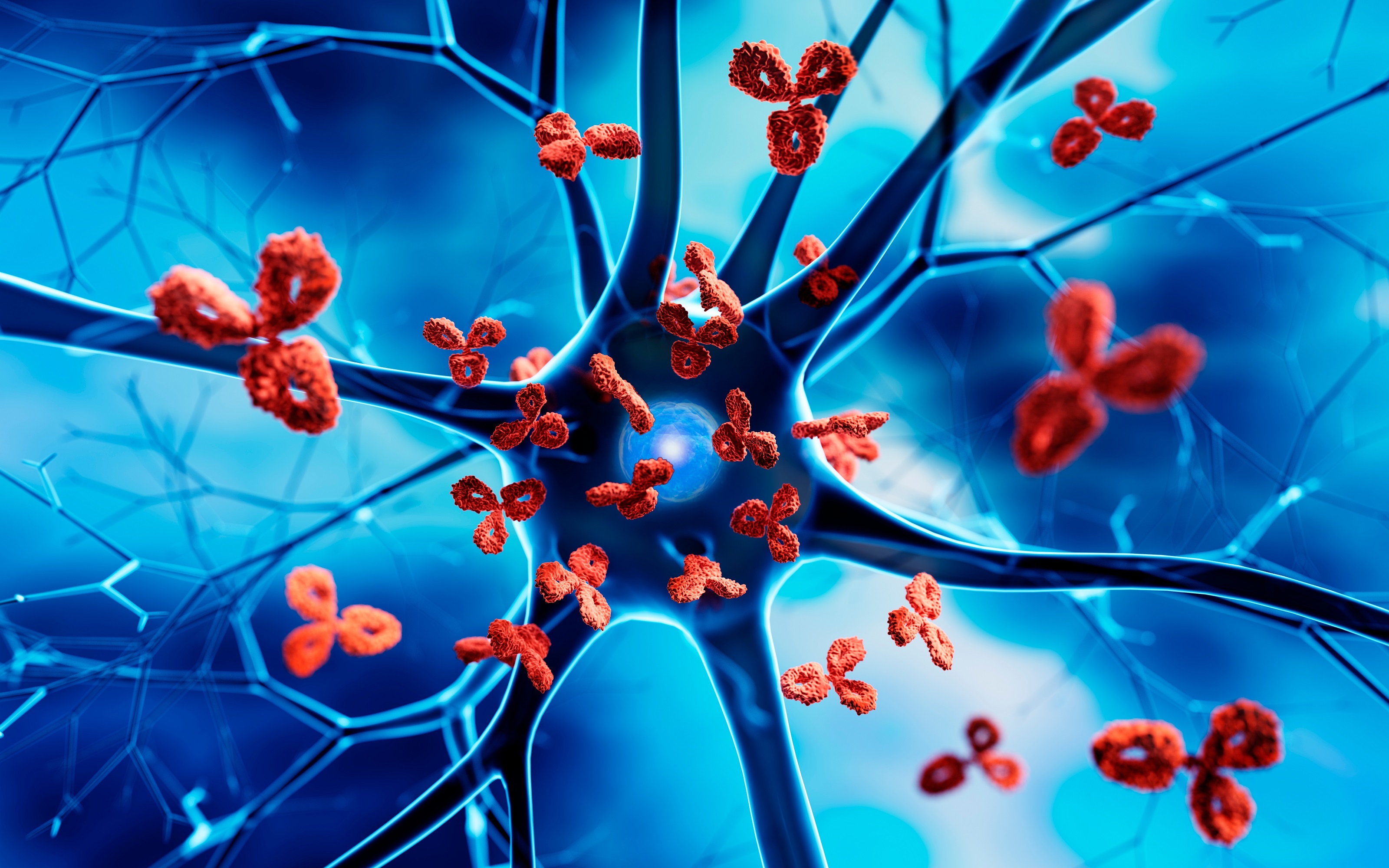 Autoimunitní onemocnění, vše, co je třeba vědět o autoimunitních onemocněních