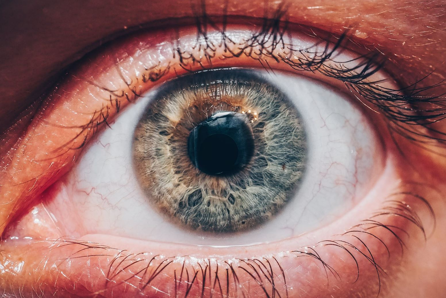 Oko a jeho anatomie