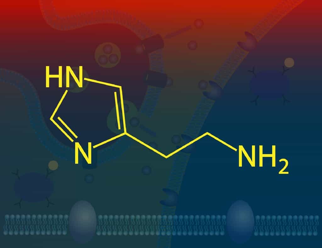 histamin