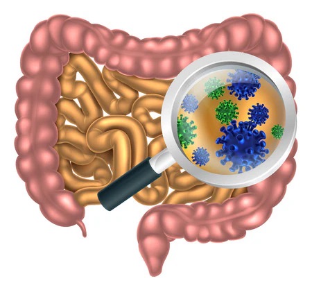 probiotika
