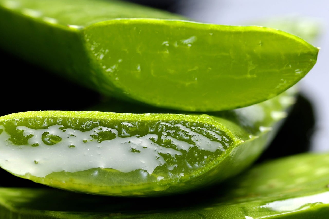 Výhody Aloe Vera pre vašu pokožku