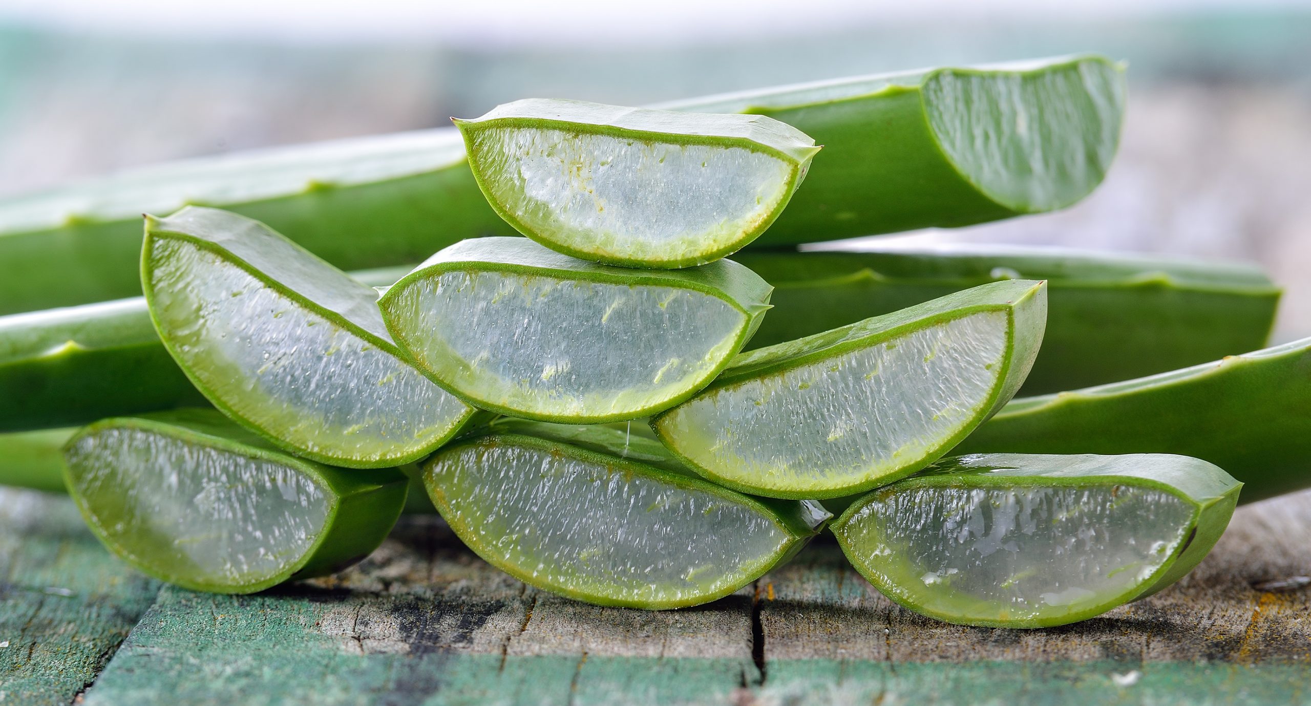 Aké sú výhody aloe vera?