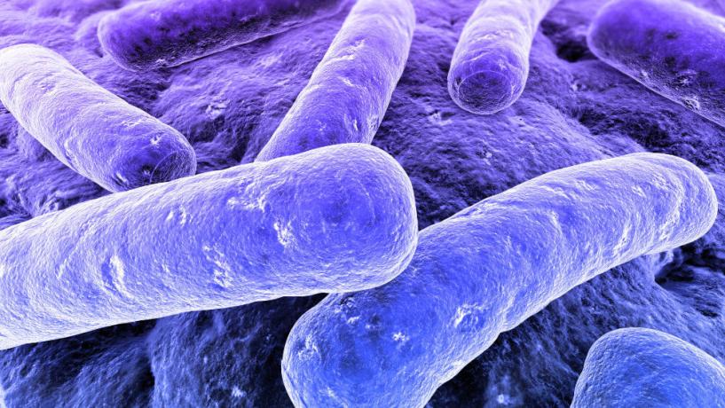 Botulizmus (Clostridium botulinum)