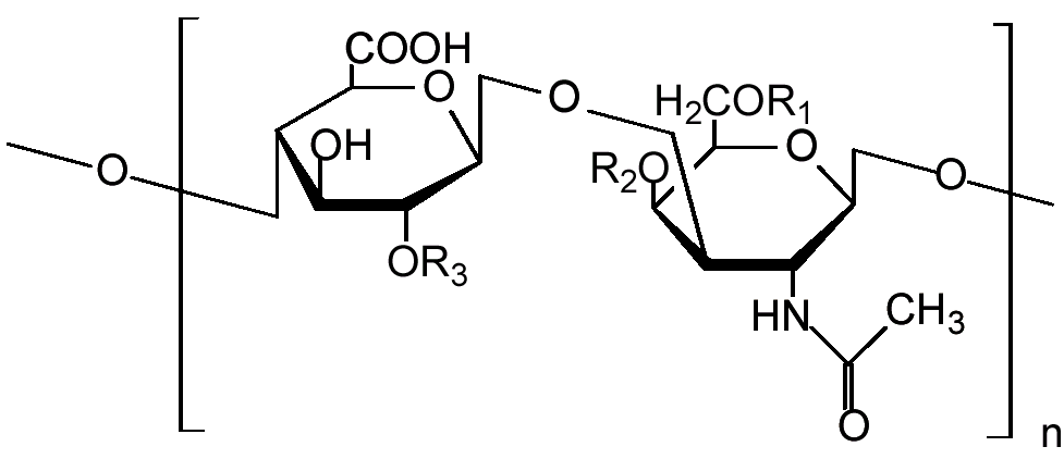 Chondroitin: významný doplnok pre zdravé kĺby