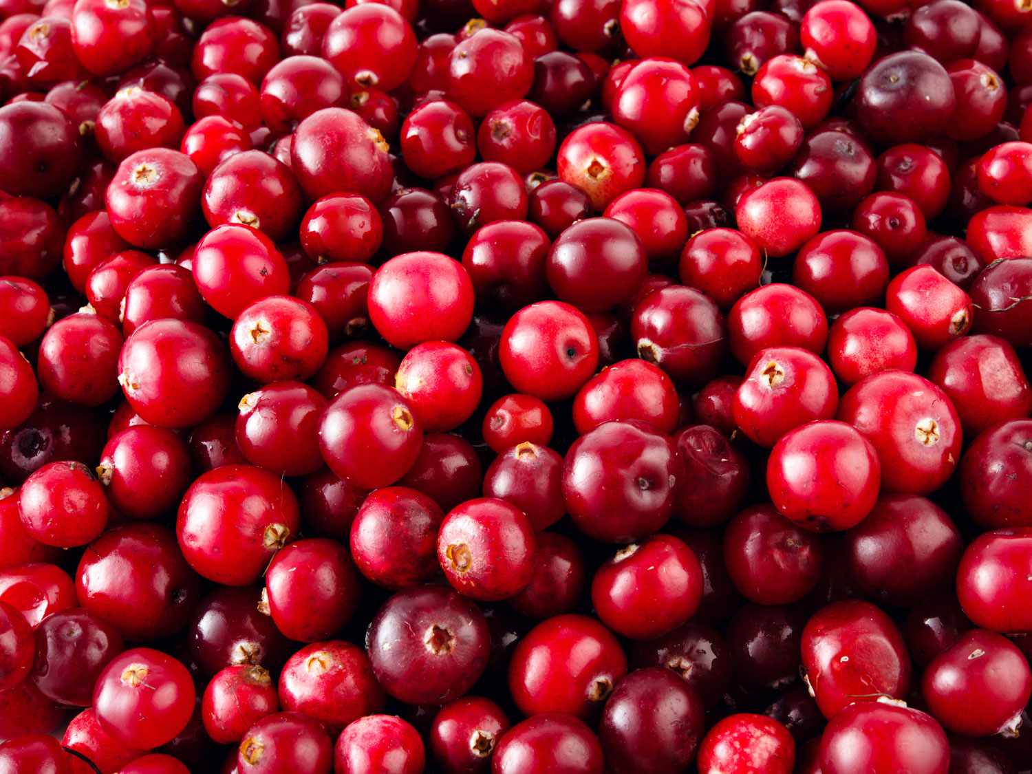 Prínosy D-manózy pre zdravie - je účinná pri infekciách močových ciest?