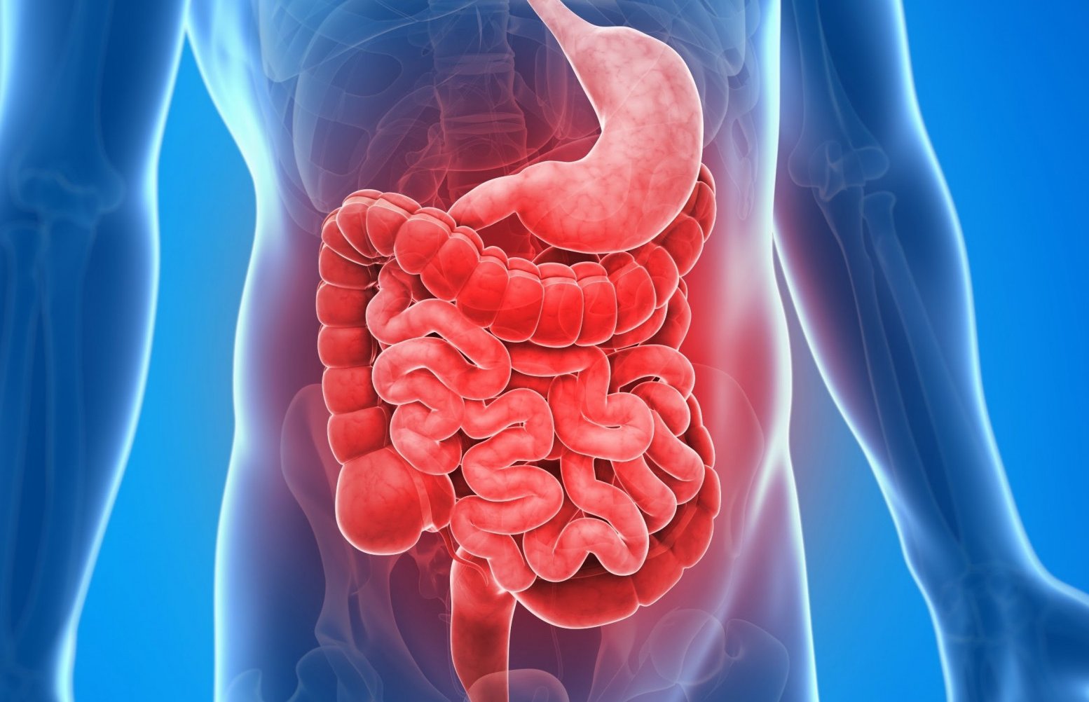 Črevá ako druhý mozog: ako komunikujú s centrálnym nervovým systémom