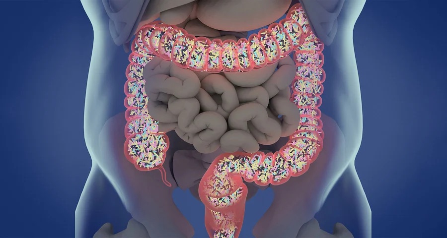 Úloha črevného mikrobiomu v zdraví kĺbov