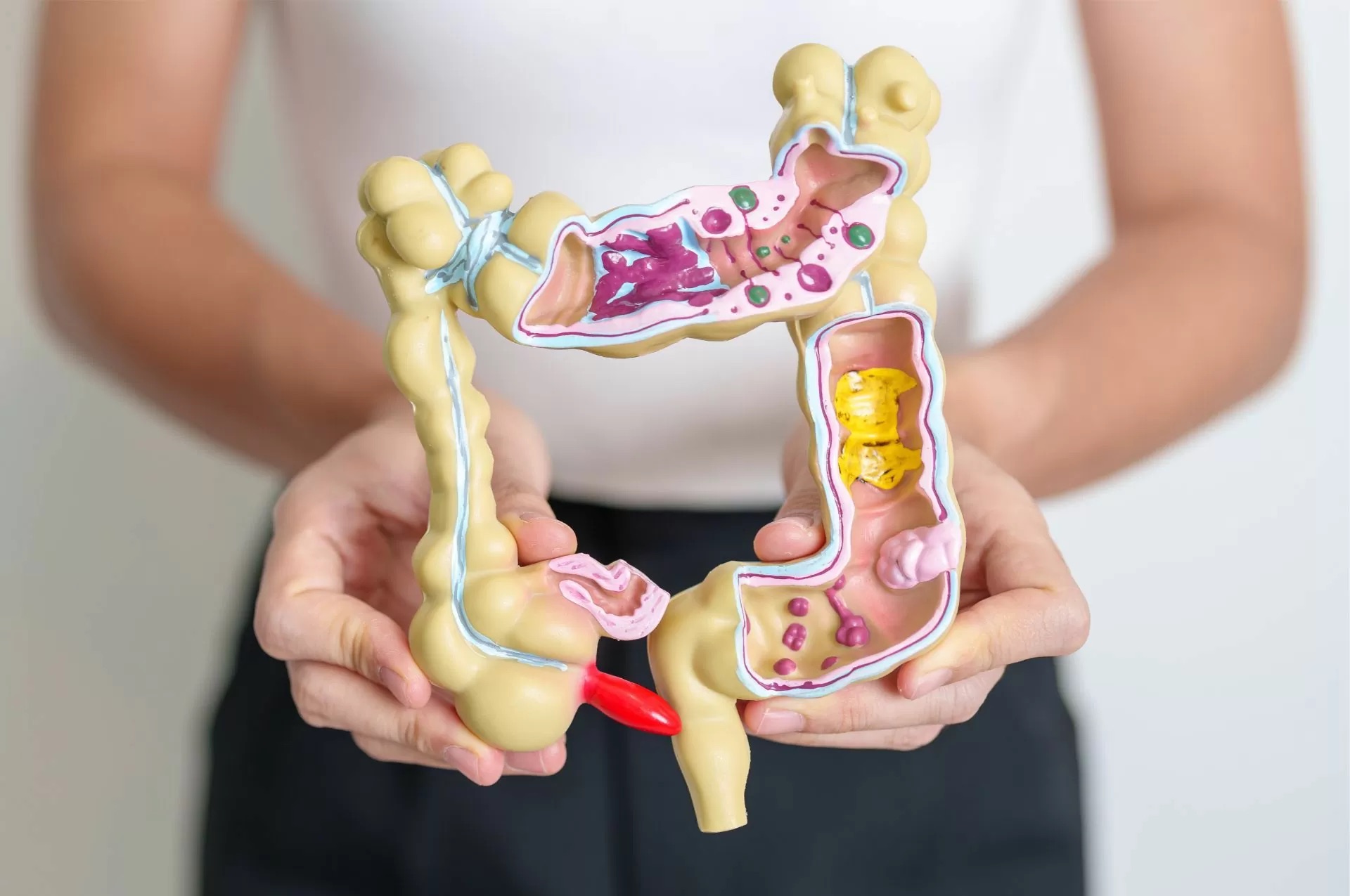 Črevná mikroflóra: Tajný kľúč k zdraviu, imunite a dobrej nálade