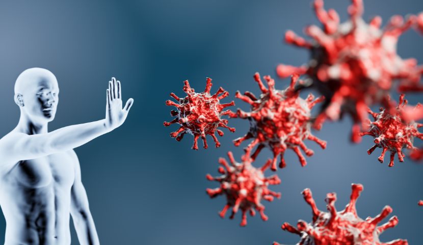 IMUNITNÝ SYSTÉM - potraviny na posilnenie