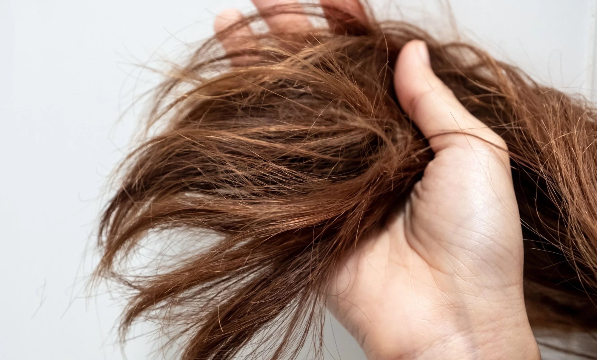 Ako zistiť kvalitu vlasov: Jednoduché testy a odborné rady