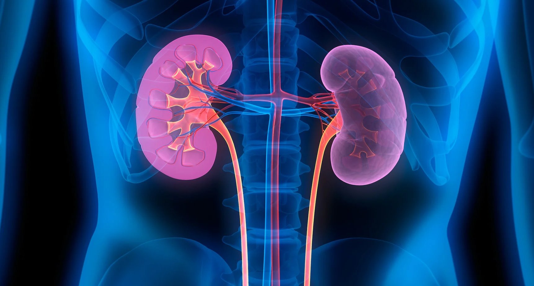 Všetko, čo by ste mali vedieť o ochorení obličiek v 2. štádiu