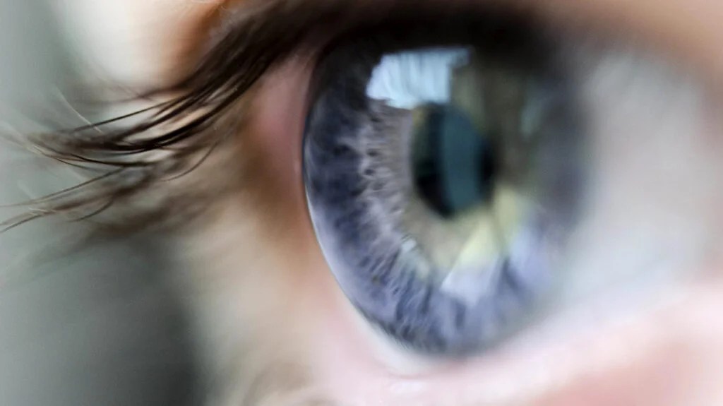 Ako vidí ľudské oko?