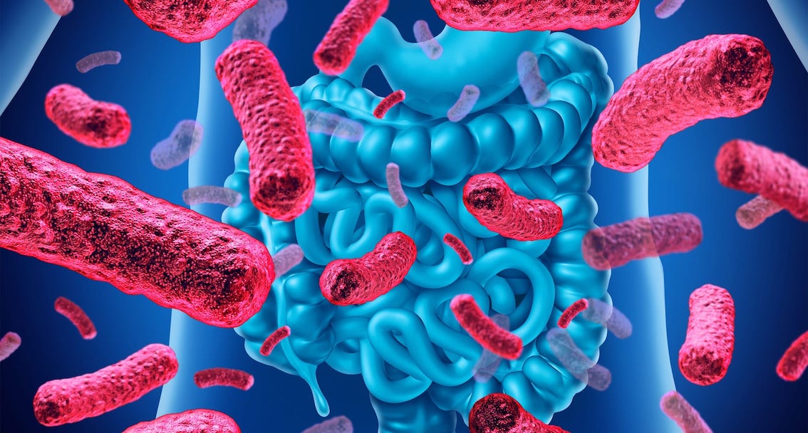 Probiotiká pre seniorov – podpora zdravého starnutia